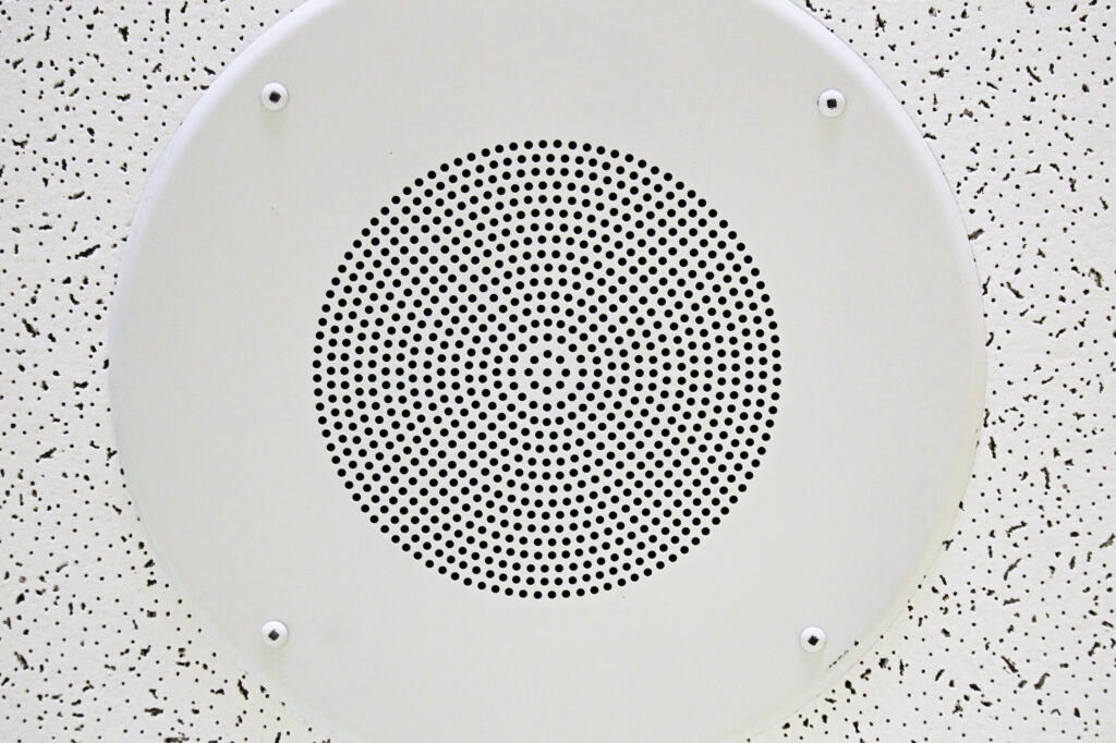 Ceiling Speaker